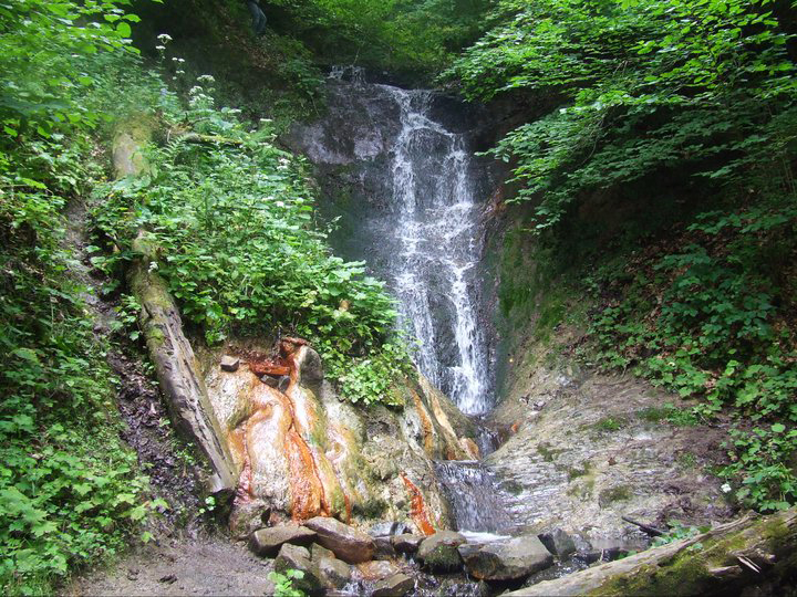 Georgia’s top 13 resorts for budget travelers geotv.ge